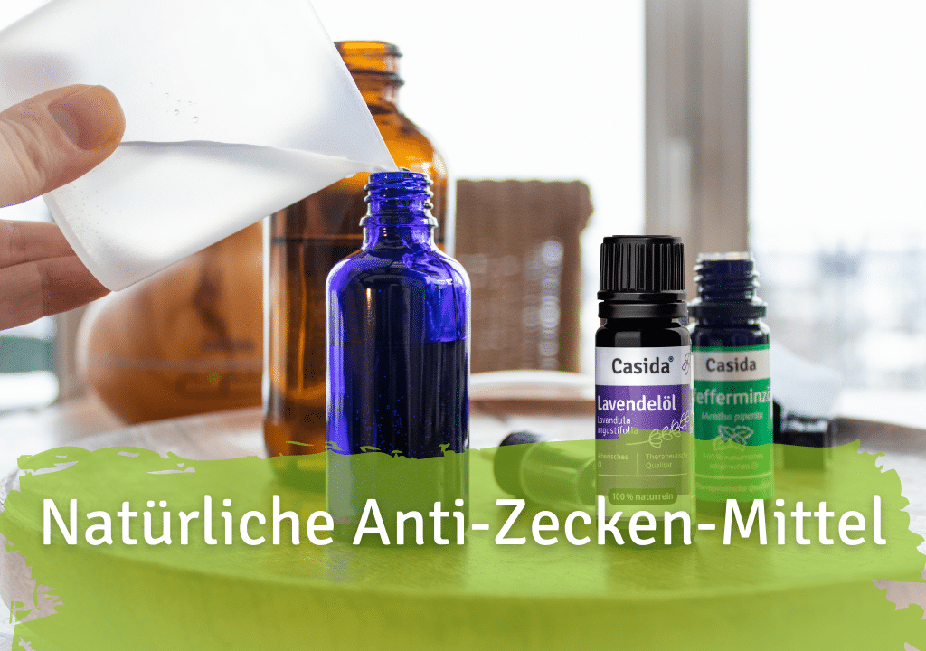 Hausmittel gegen Zecken Hausmittel gegen Zecken