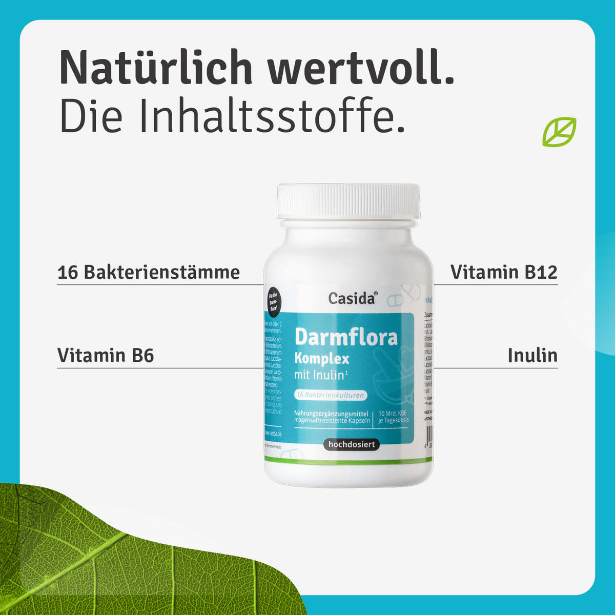 Darmflora Komplex mit Inulin Inhalt