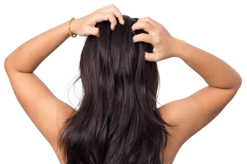 Naturally for fuller, healthy hair – with the pure power of rosemary, mint, and biotin