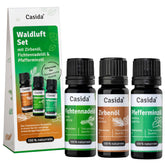 Waldluft Set - Ätherische Öle Set mit Fichtennadel-, Zirben-, & Pfefferminzöl