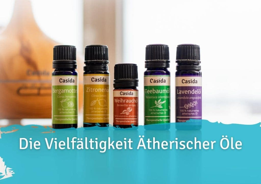 ätherische öle gleitmittel Dessous zum Verlieben online kaufen main image 0