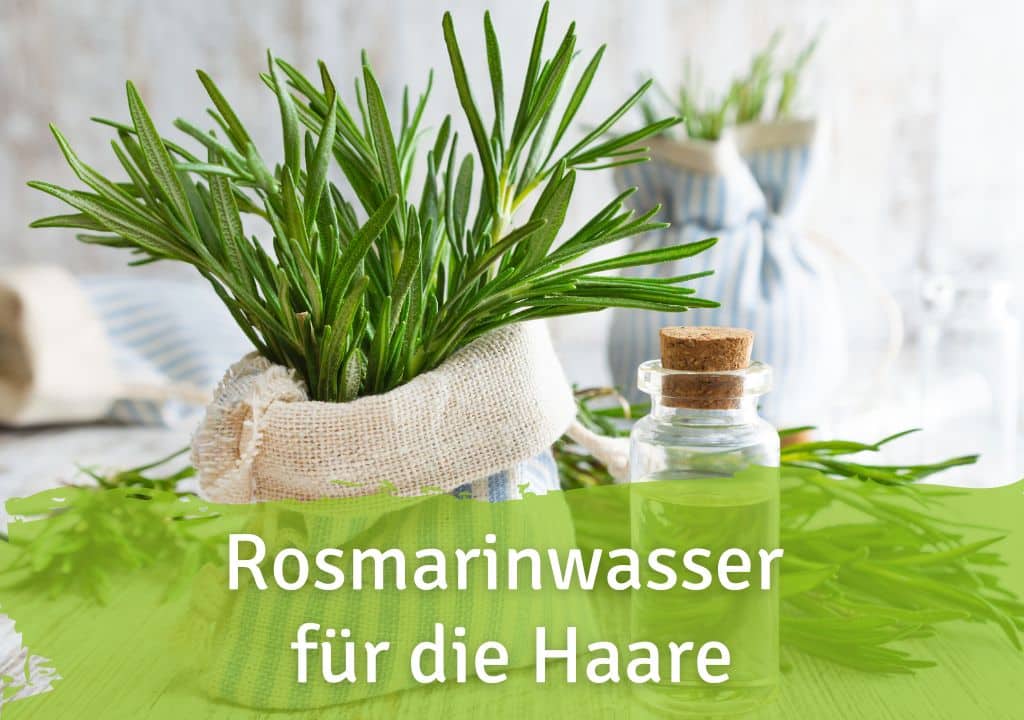 Rosmarinwasser für die Haare - Rein pflanzliche Kraft für Kopfhaut und Haare