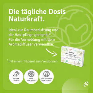 Top 16 Duftmischungen Set
