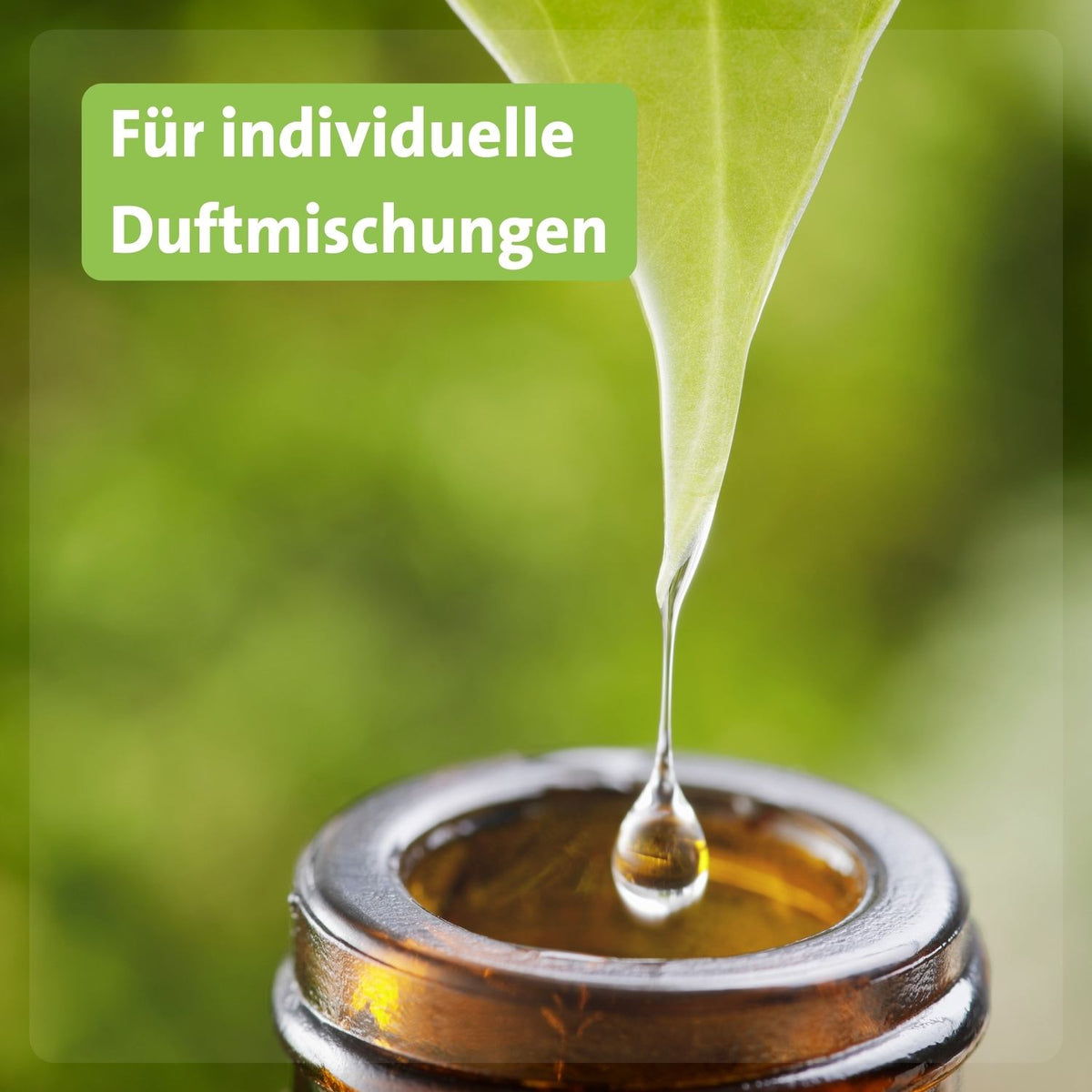 Casida Roll-on Flaschen Set 10 ml Braun individuelle Duftmischungen