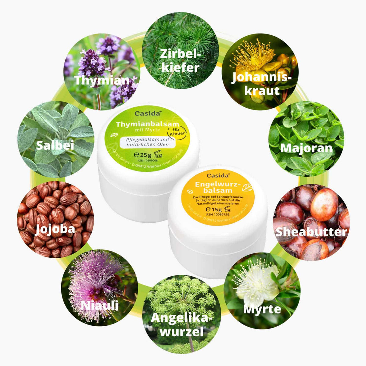 Theken-Aufsteller inkl. 8x Engelwurzbalsam & 8x Thymianbalsam Kinder Inhalt