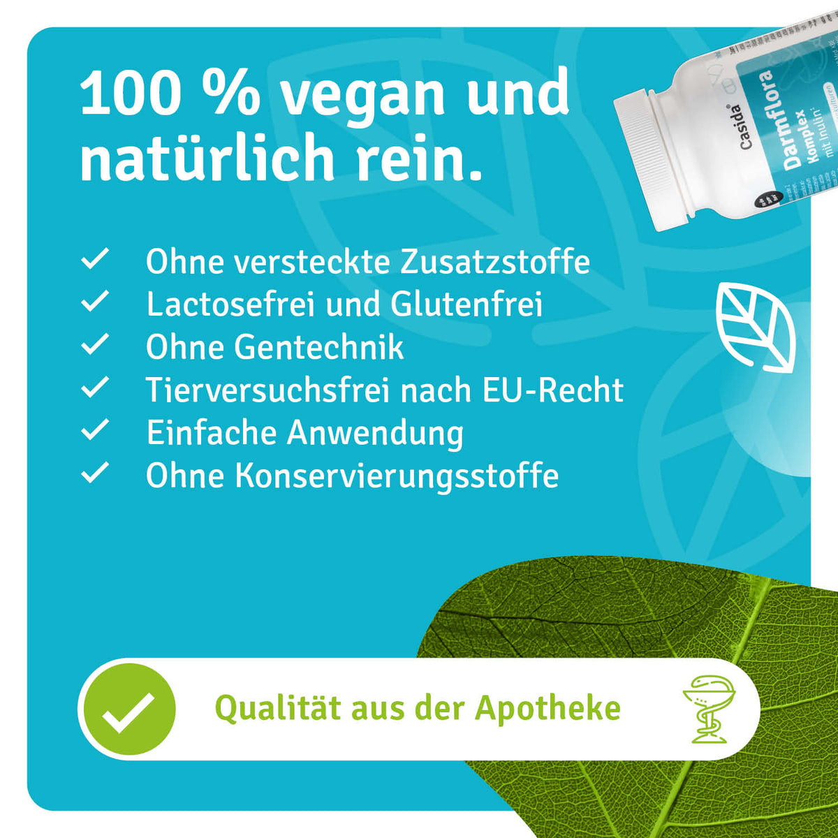 Darmflora Komplex mit Inulin natürliche Inhaltsstoffe