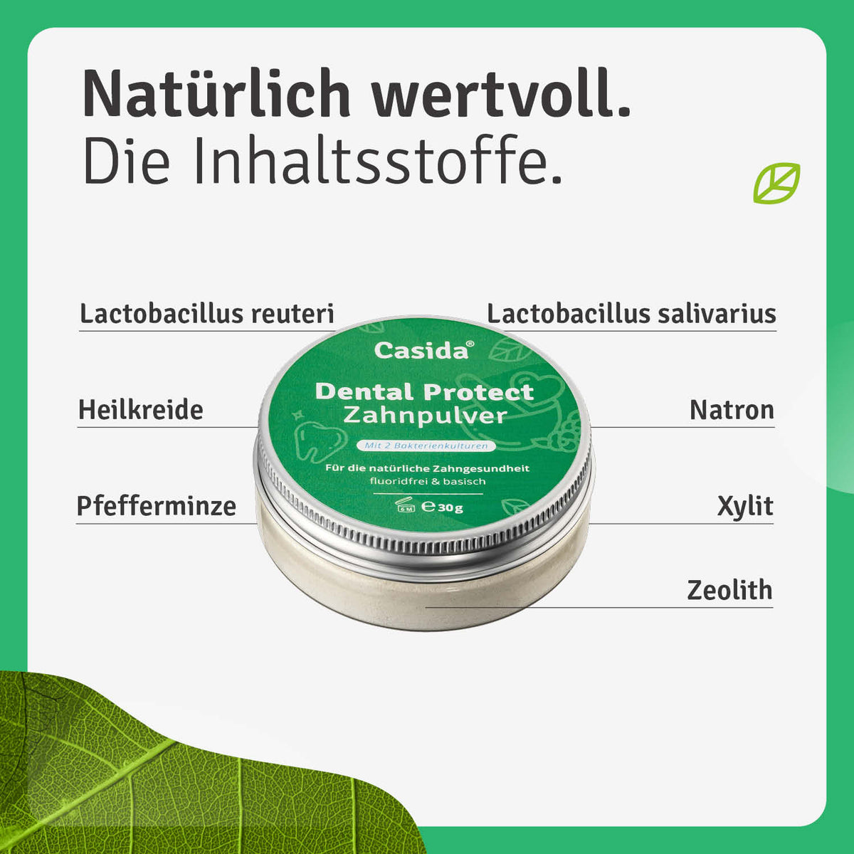 Dental Protect Zahnpulver Inhalt