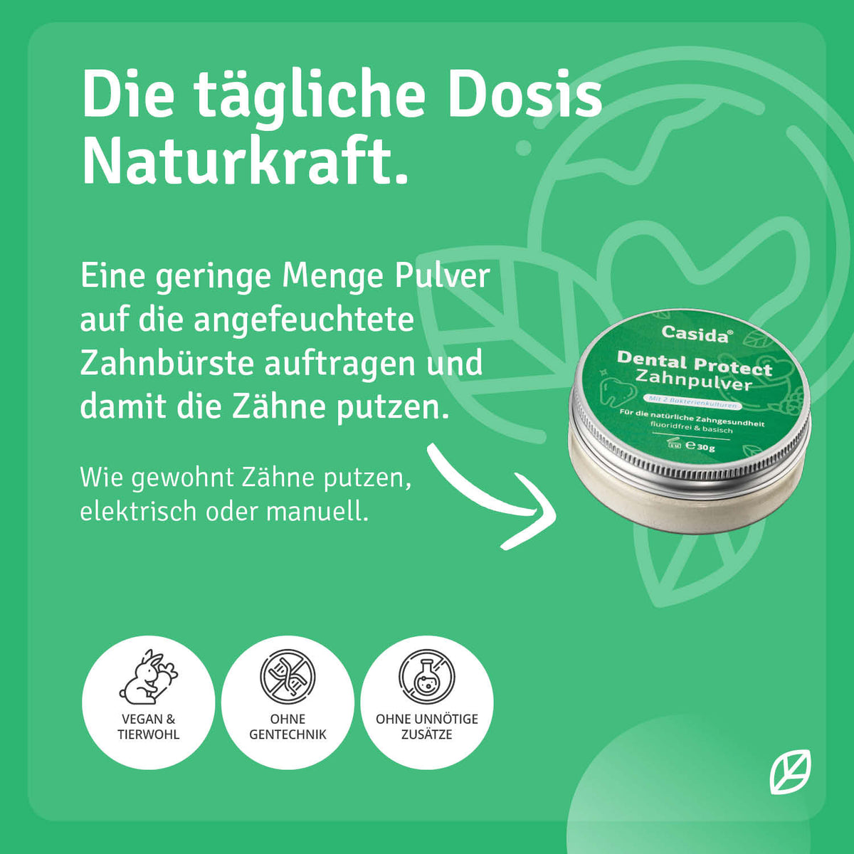 Dental Protect Zahnpulver Anwendung