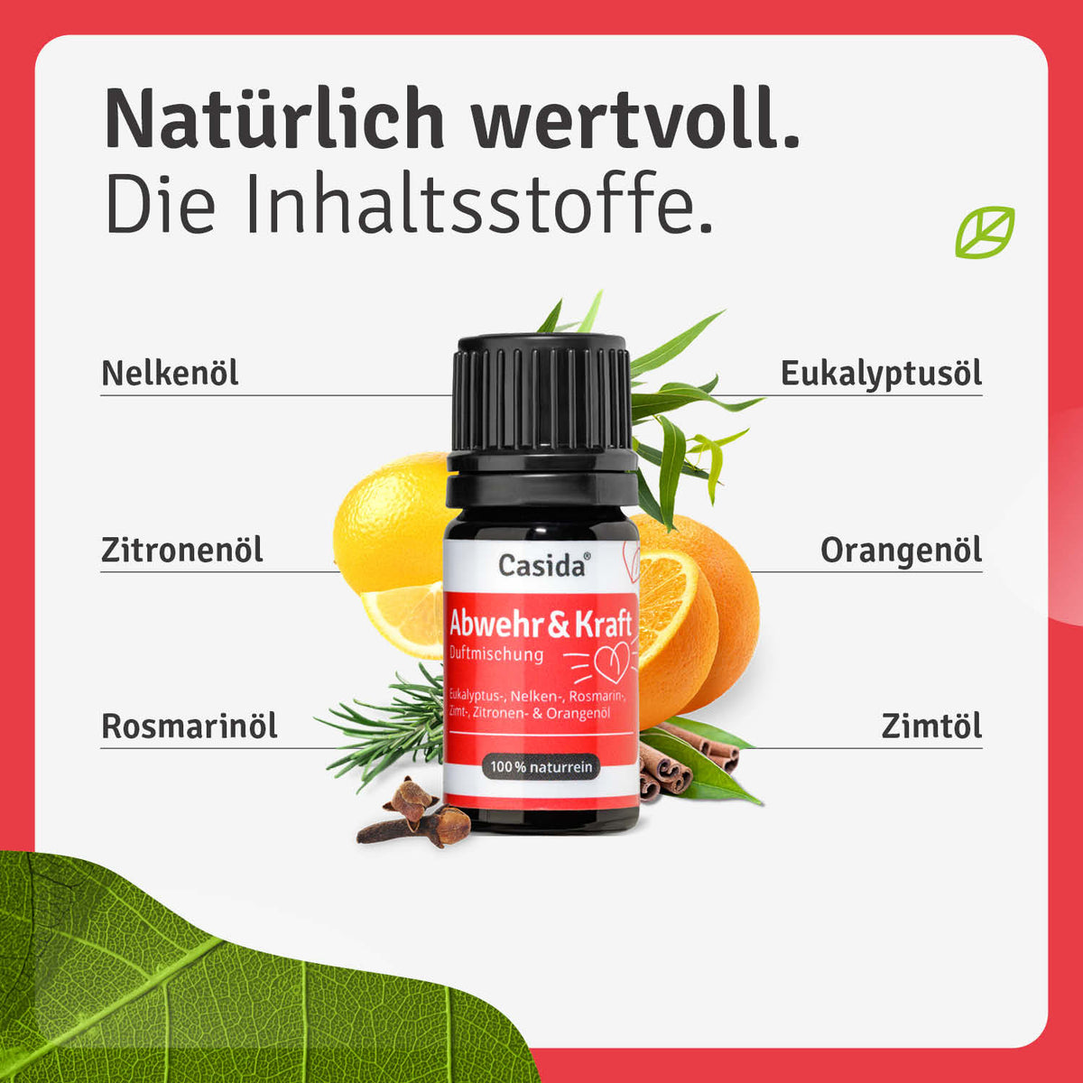 Duftmischung Abwehr & Kraft Inhalt