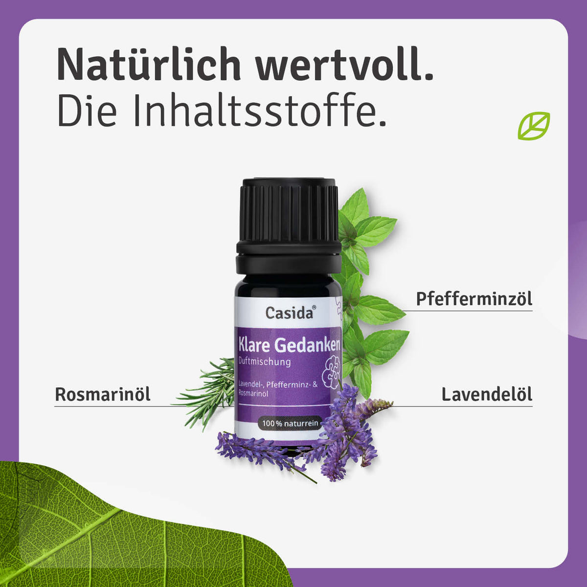 Duftmischung Klare Gedanken Inhalt