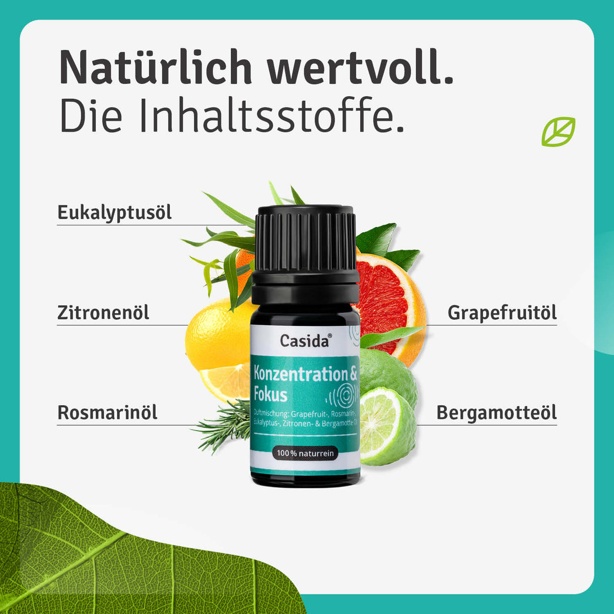 Duftmischung Konzentration & Fokus Inhalt