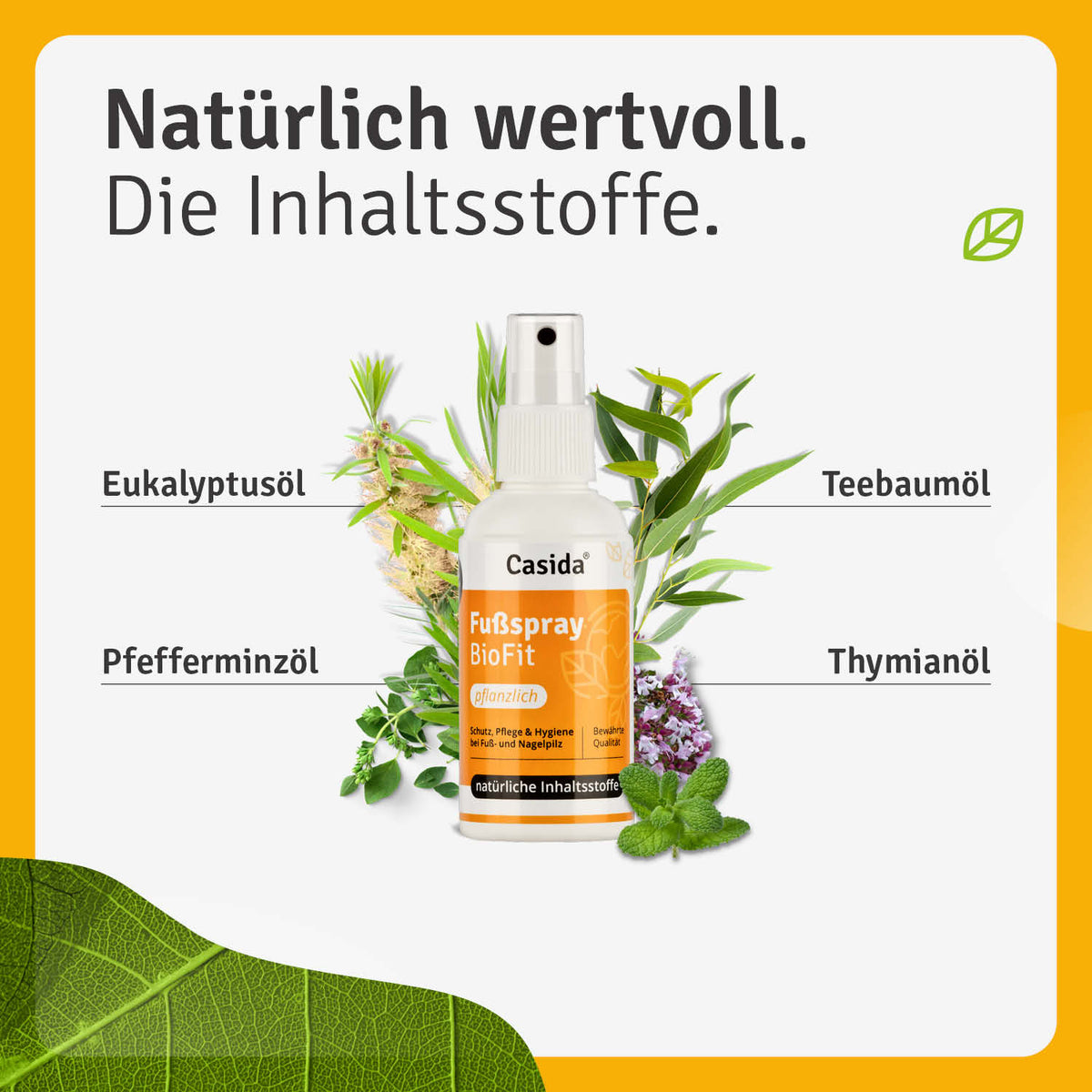 Fußspray BioFit Pflanzlich Inhalt