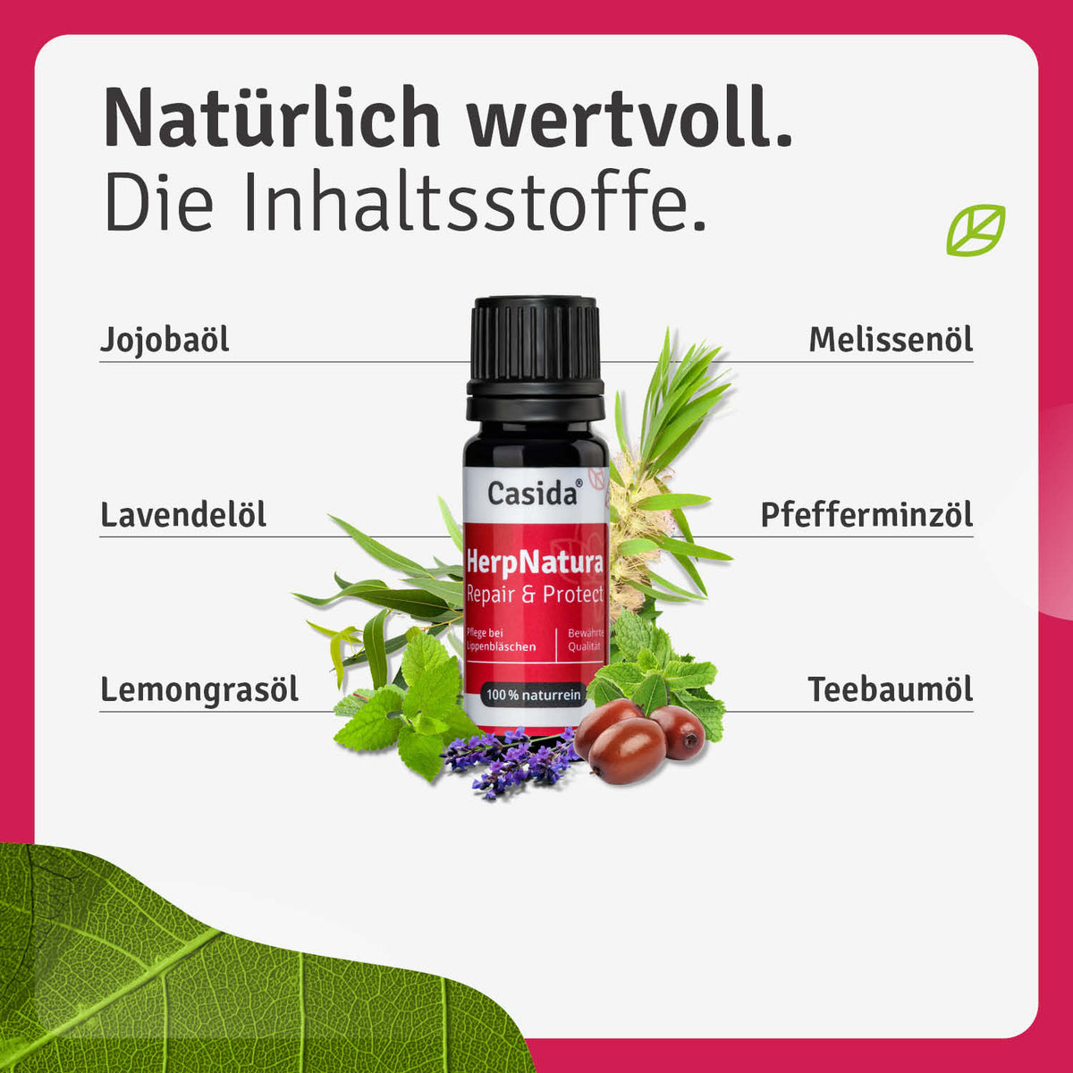 HerpNatura Repair & Protect Inhalt