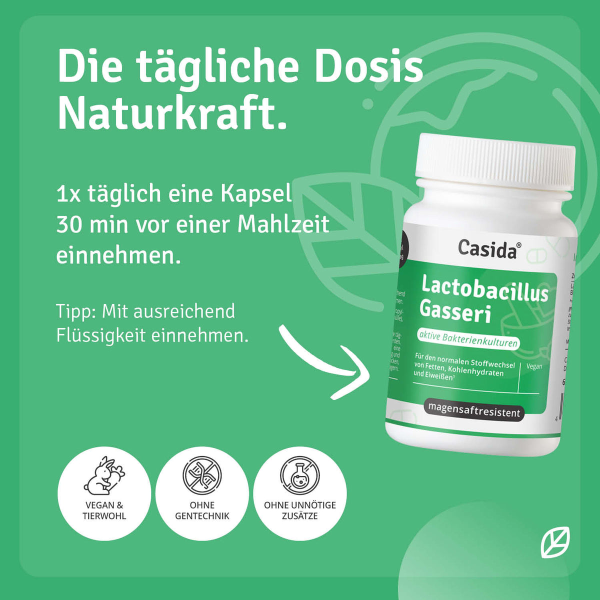 Lactobacillus Gasseri Anwendung