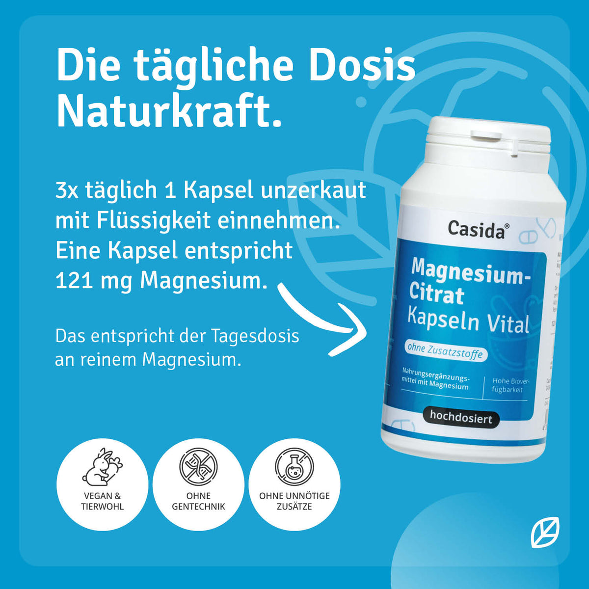Magnesiumcitrat Kapseln Vital Anwendung