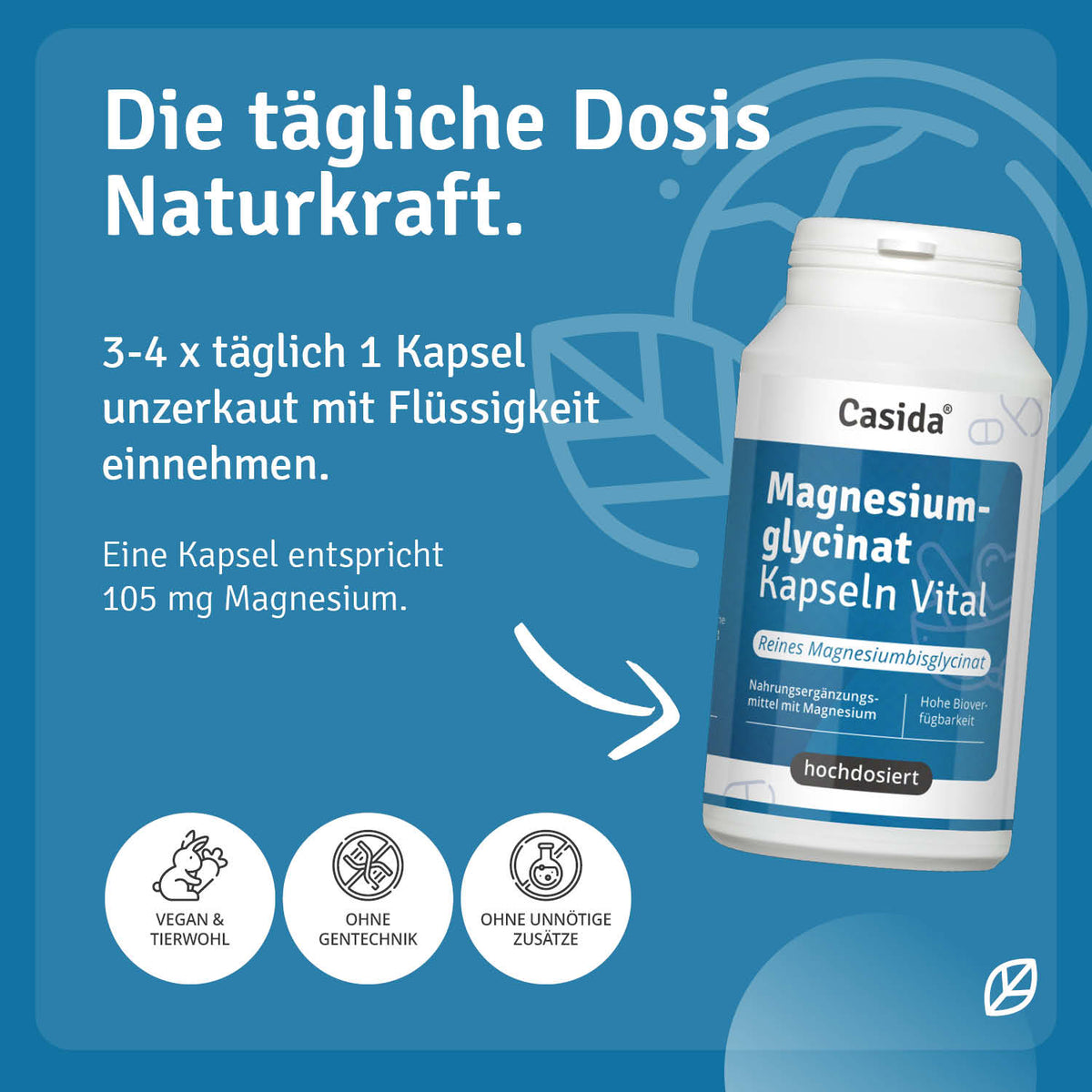 Magnesium Glycinat Kapseln Vital Anwendung