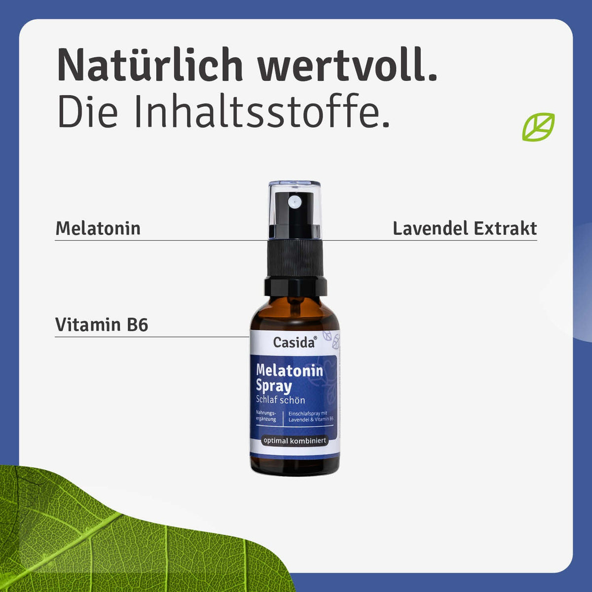 Melatonin Spray Schlaf schön Inhalt