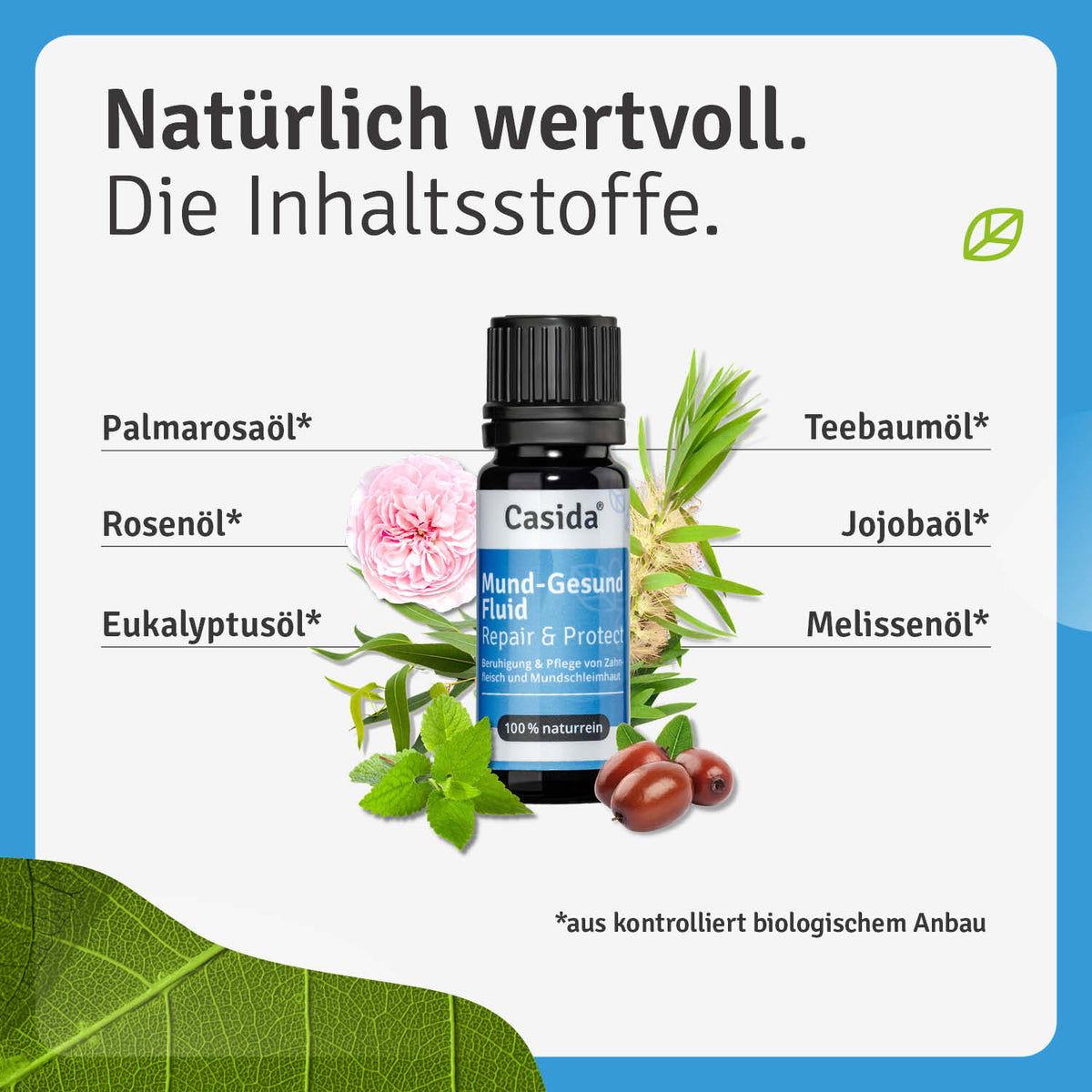 Mund-Gesund Fluid Repair Inhalt