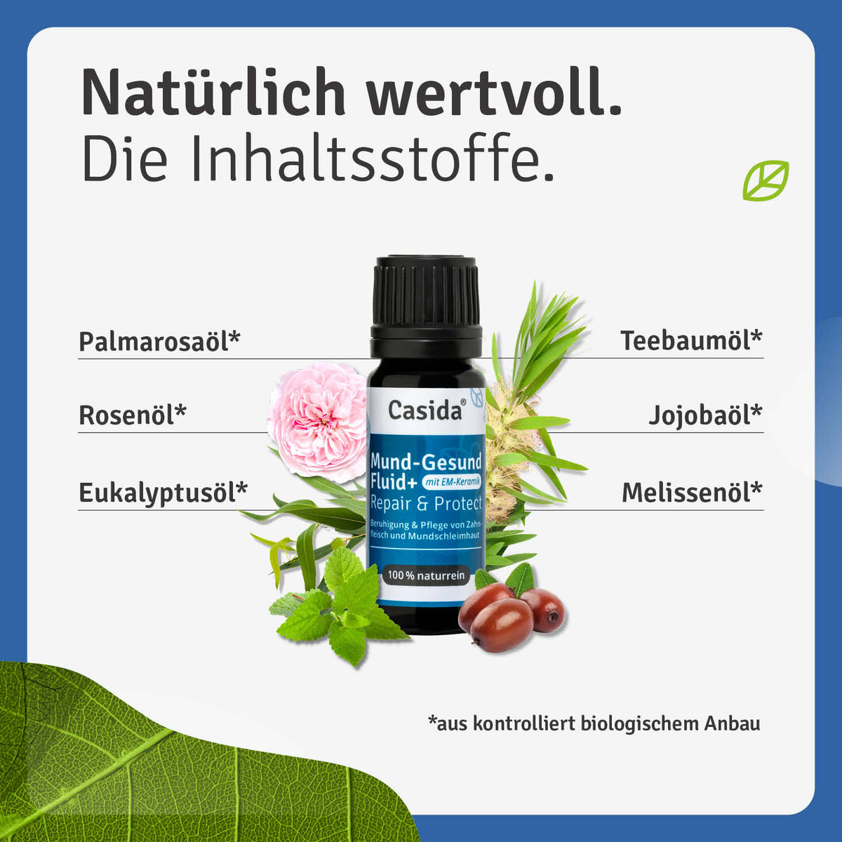 Mund-Gesund Fluid + mit EM-Keramik (Effektive Mikroorganismen) Inhalt