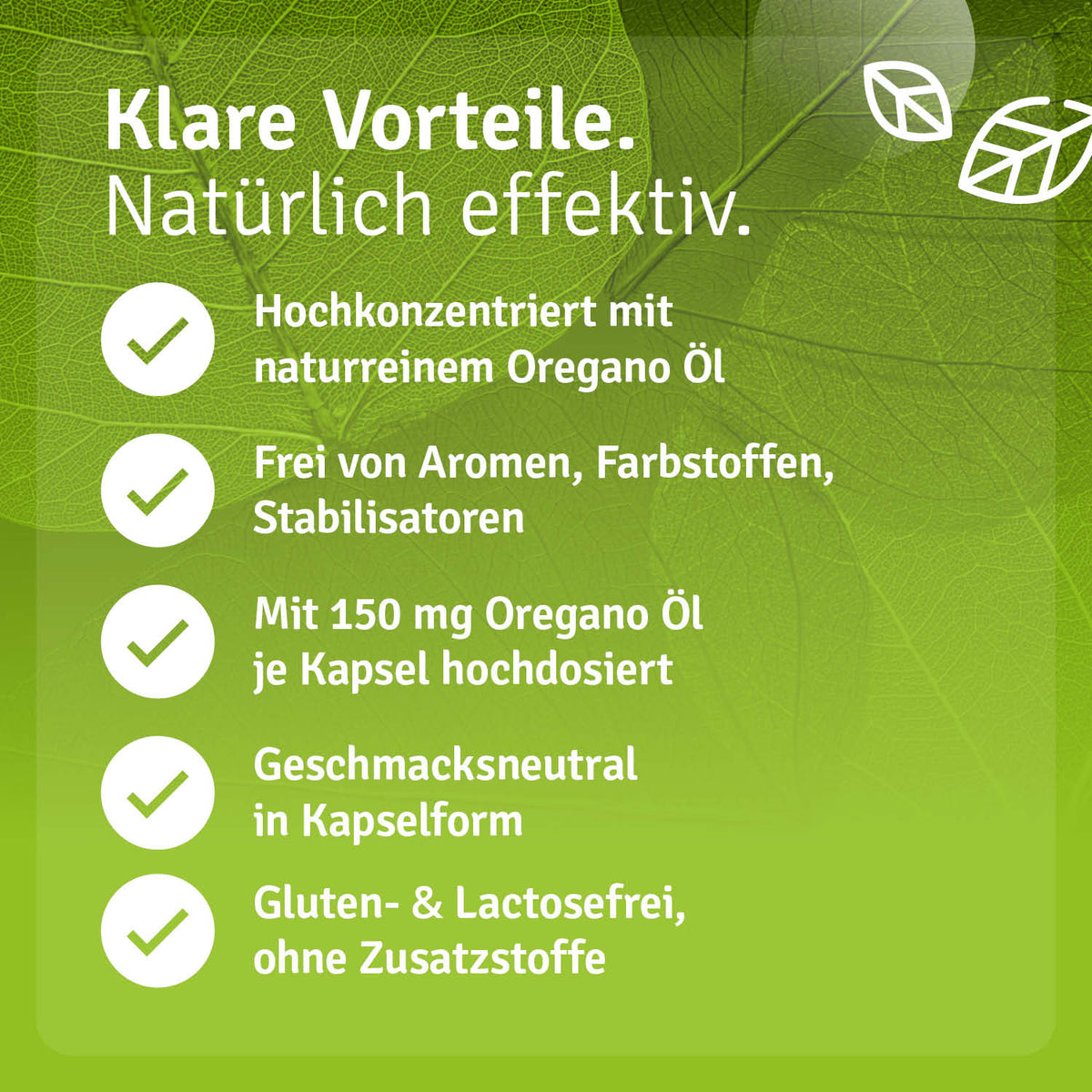 Oregano Öl Kapseln Vorteile