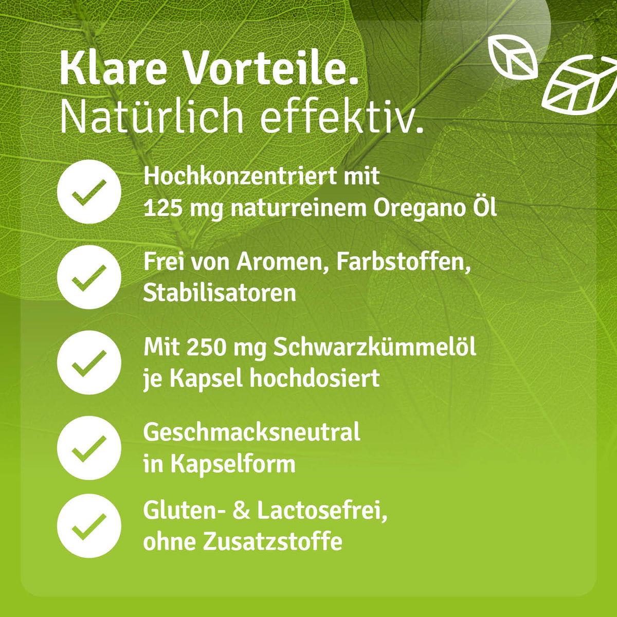 Infografik zu Casida Oregano-Öl mit Schwarzkümmelöl Kapseln mit Angaben zur Zusammensetzung