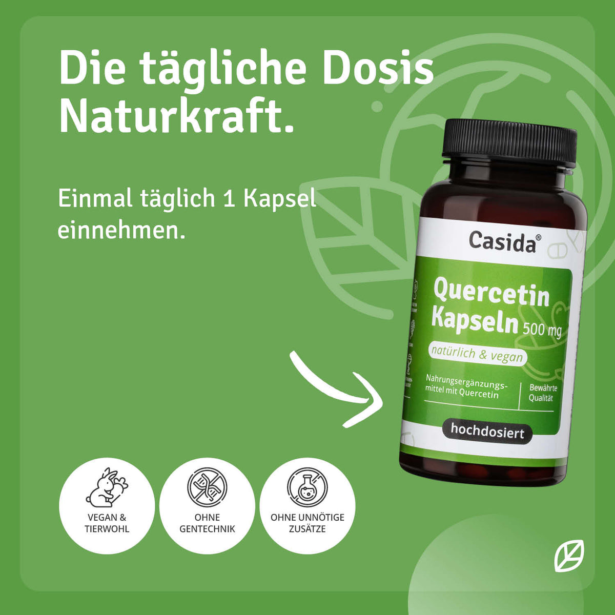 Quercetin Kapseln 500 mg Anwendung