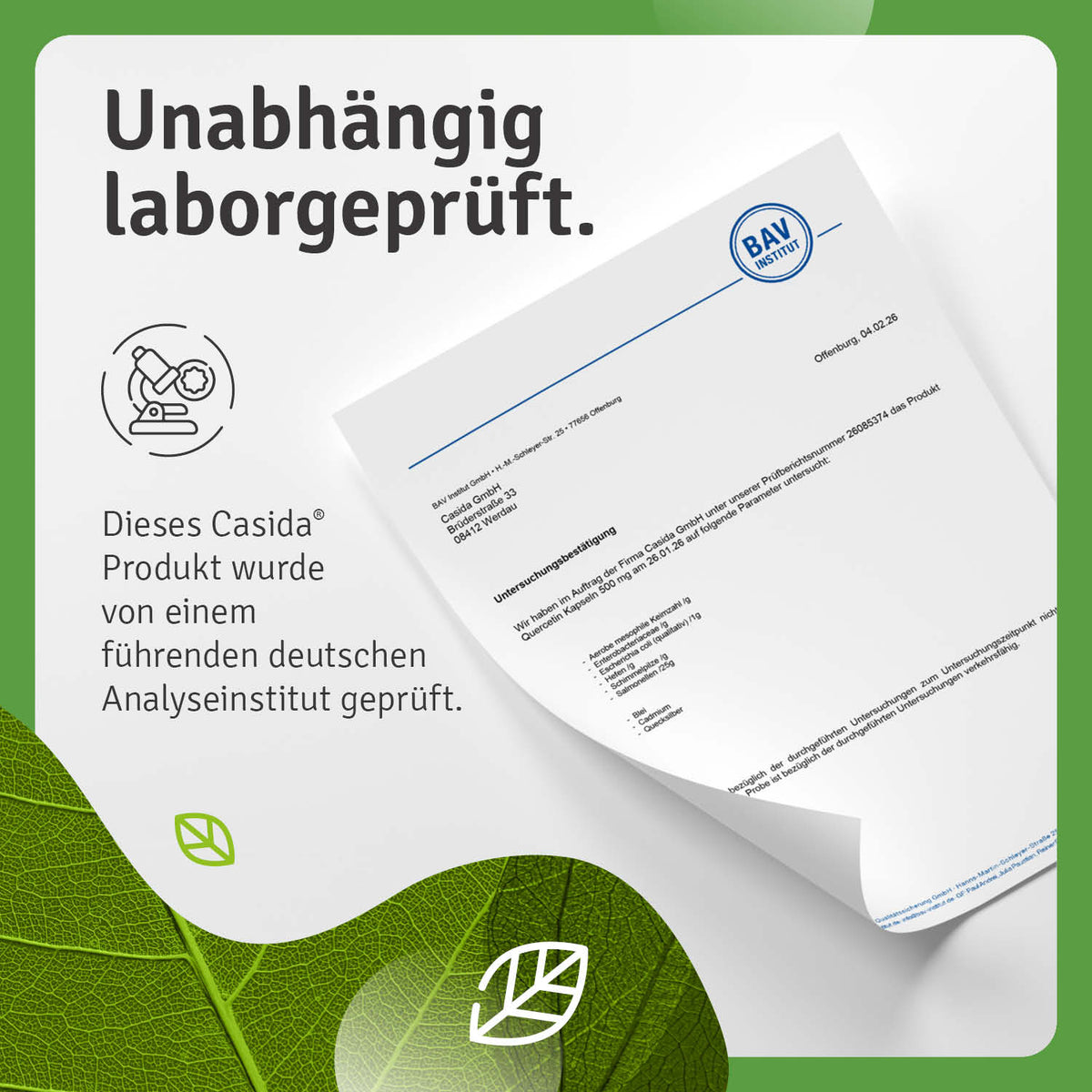 Quercetin Kapseln 500 mg laborgeprüft