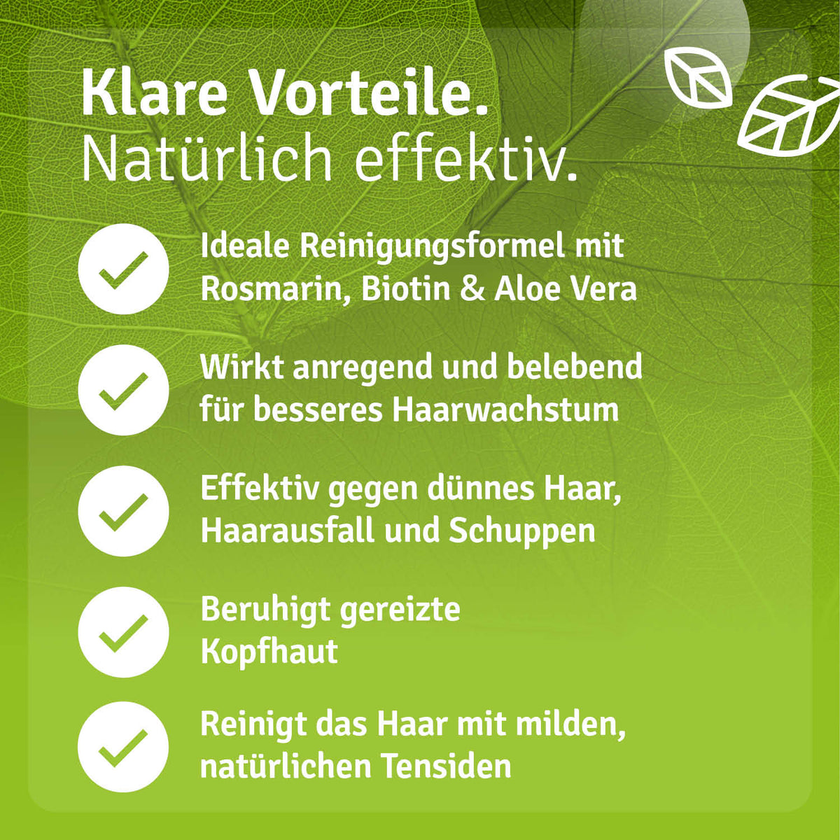 Rosmarin Shampoo mit Biotin Vorteile