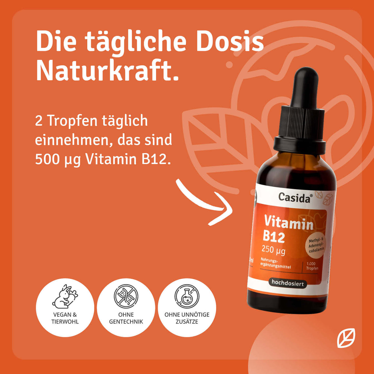 Vitamin B12 Tropfen 50 ml Anwendung
