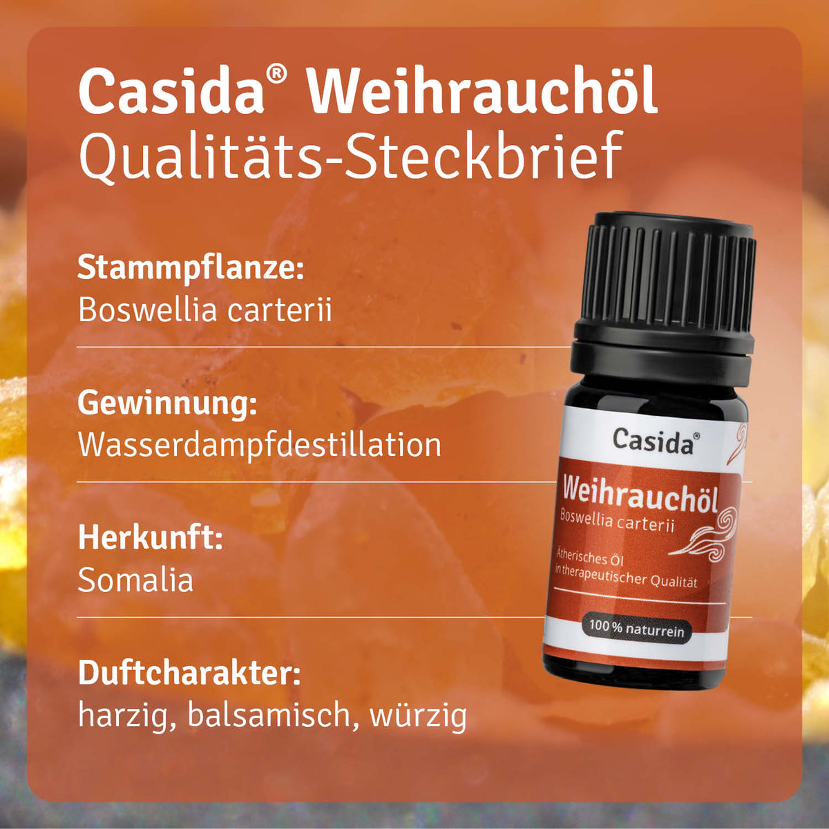 Weihrauchöl Boswellia carterii Pflanze