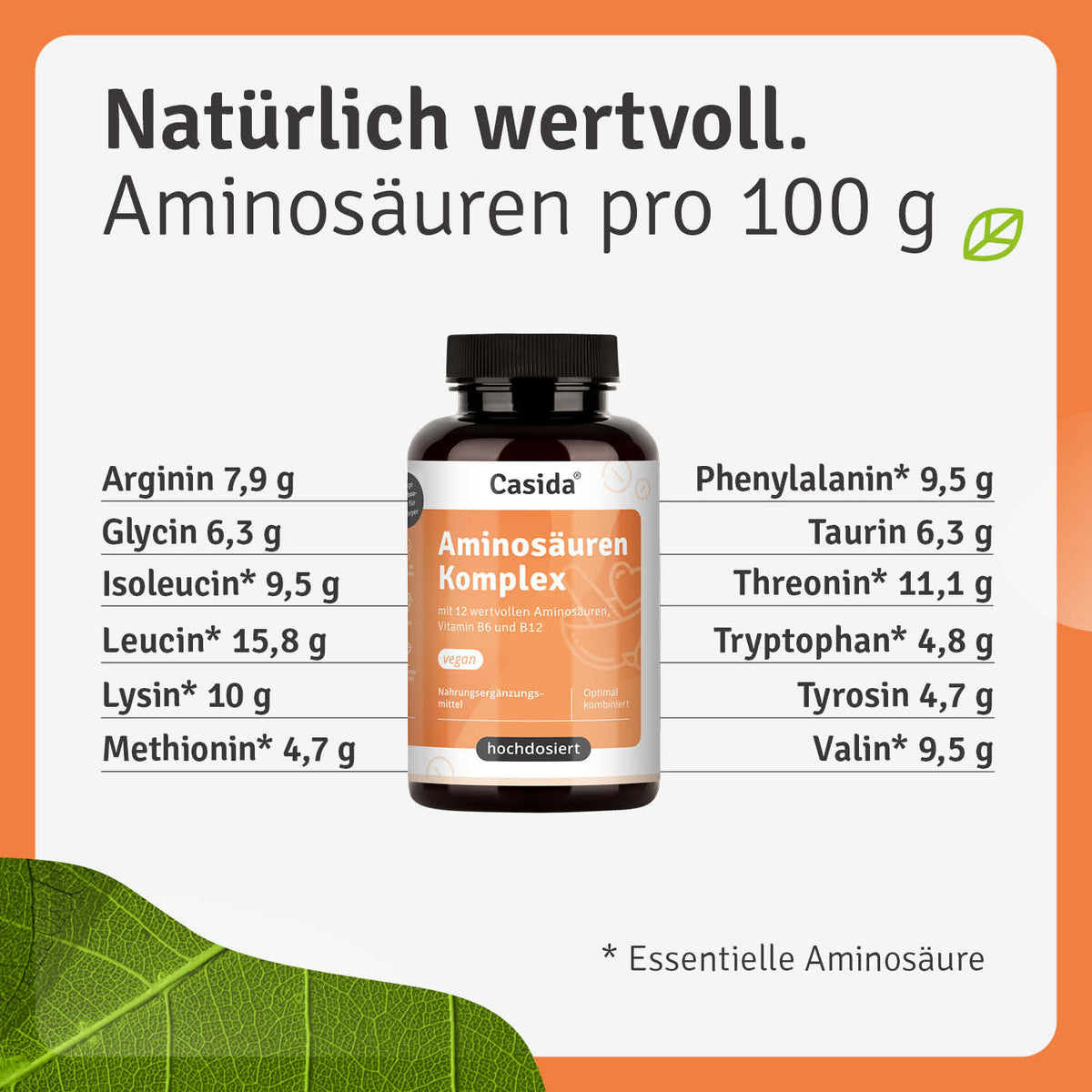 Aminosäuren Komplex Inhalt