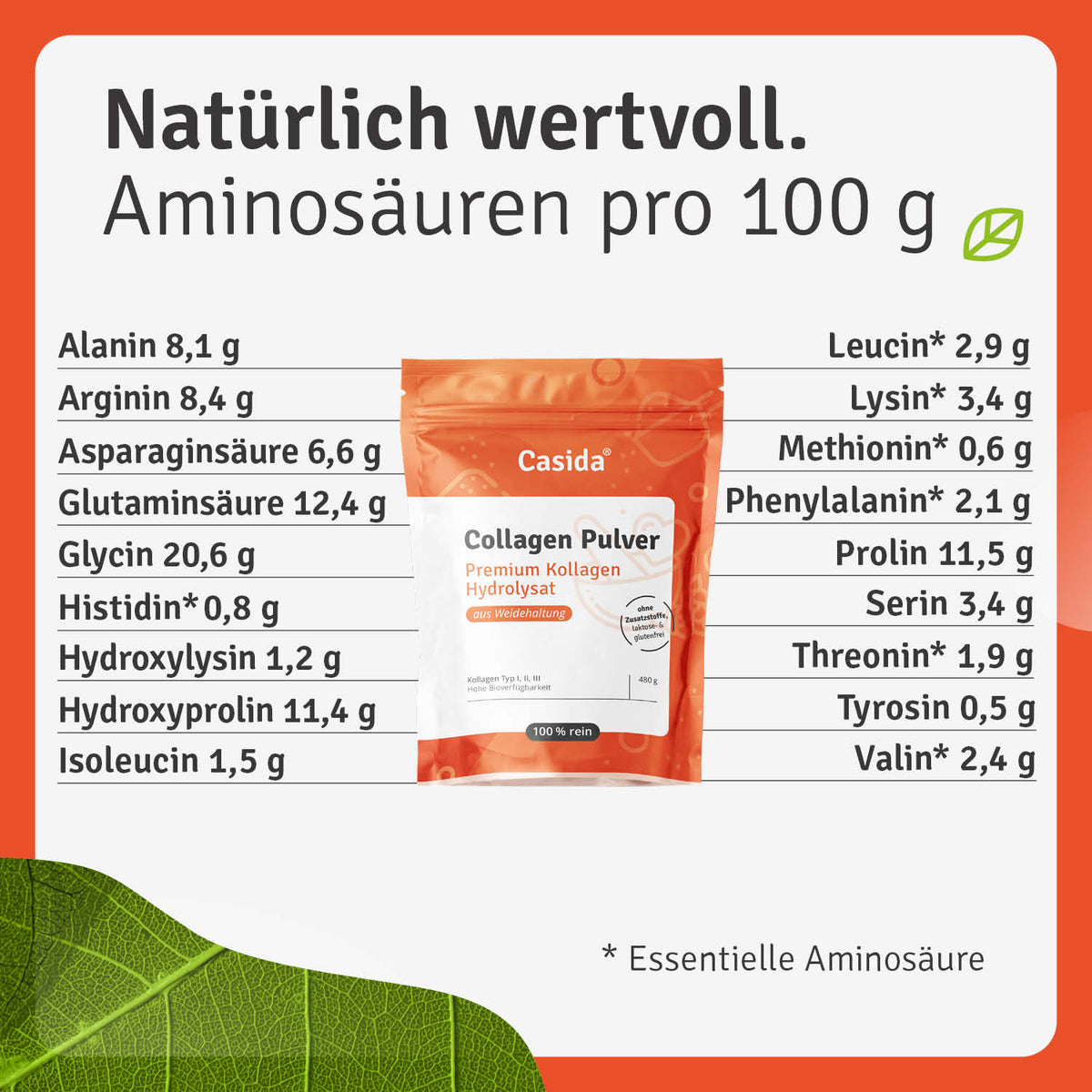 Collagen pulver packaging with nutritional information and amino acid content on a white background.