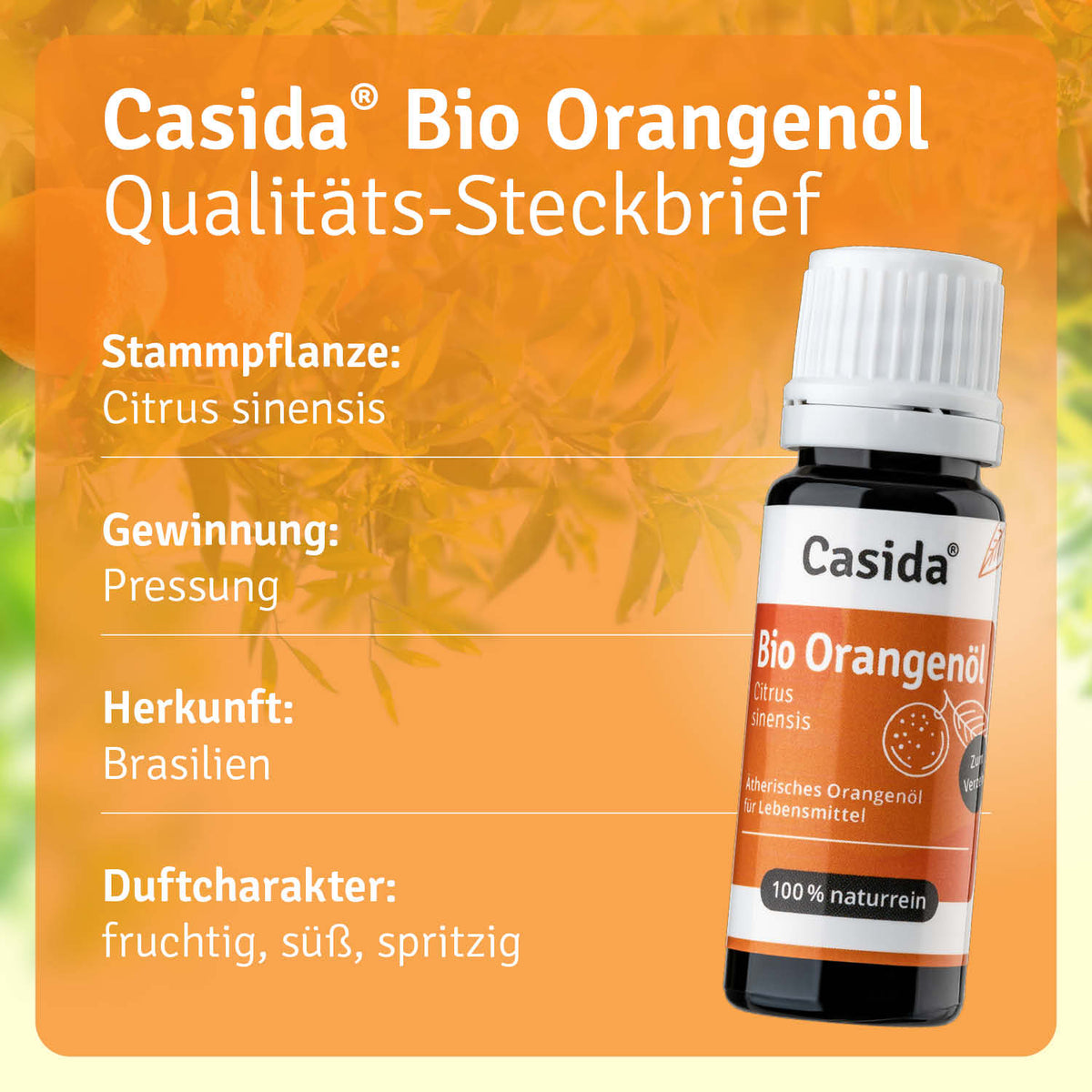 Bio Orangenöl zum Verzehr innerlich Pflanze