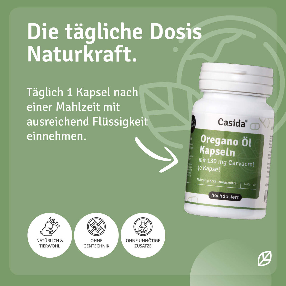 Oregano Öl Kapseln Anwendung