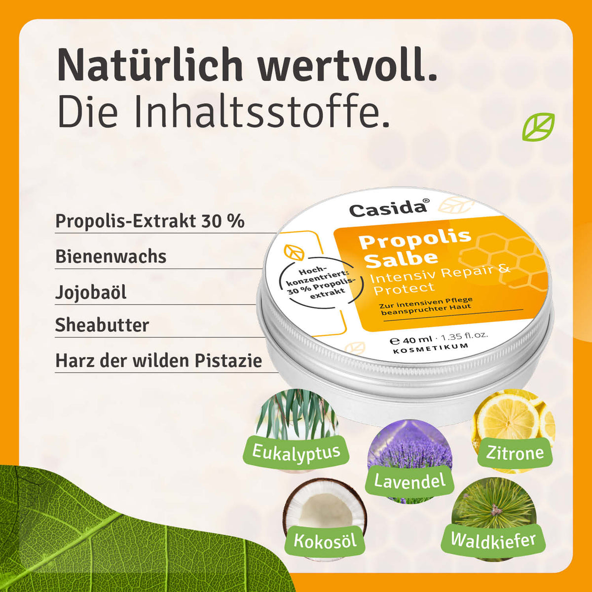 Propolis Salbe Inhalt
