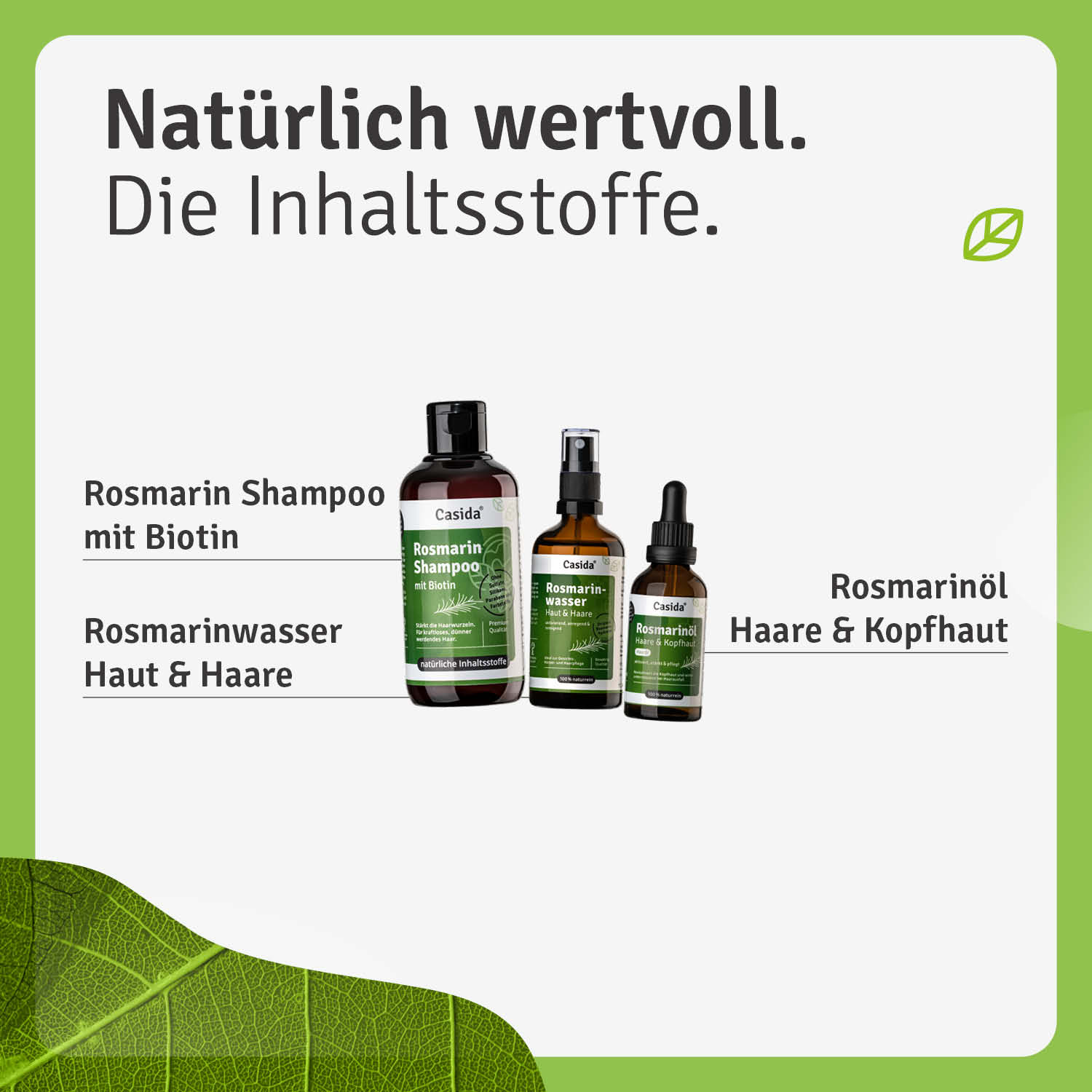 Rosmarin Haarkur Haarausfall Rosmarin Shampoo mit Biotin Rosmarinwasser Rosmarinöl Inhalt