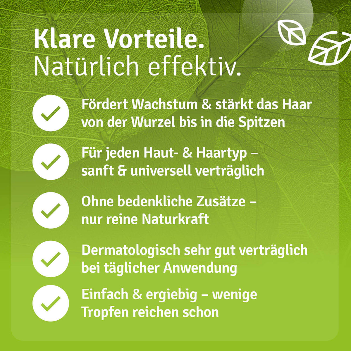 Rosmarin Haarkur Haarausfall Rosmarin Shampoo mit Biotin Rosmarinwasser Rosmarinöl Rosmarin Haarkur Haarausfall Rosmarin Shampoo mit Biotin Rosmarinwasser Rosmarinöl Vorteile
