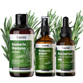 Rosmarin Haarkur Haarausfall Rosmarin Shampoo mit Biotin Rosmarinwasser Rosmarinöl 