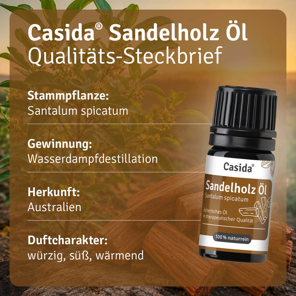 Steckbrief zu Casida Sandelholzöl mit Santalum spicatum, Wasserdampfdestillation und Herkunft Australien