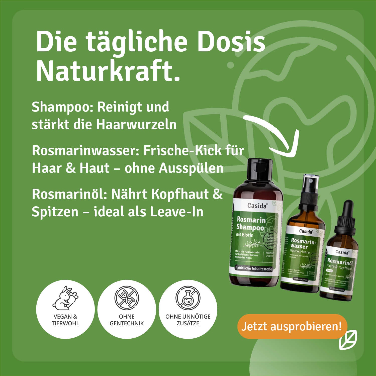 Casida Rosmarin hair care set featuring shampoo, hair tonic, and serum in green bottles with labels on a green background.
