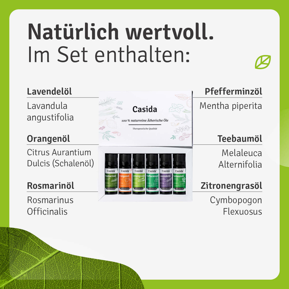 TOP 6 Ätherische Öle Set Aromatherapie Aromapflege Lemongras Pfefferminz Lavendel Orange Rosmarin Teebaum Inhalt