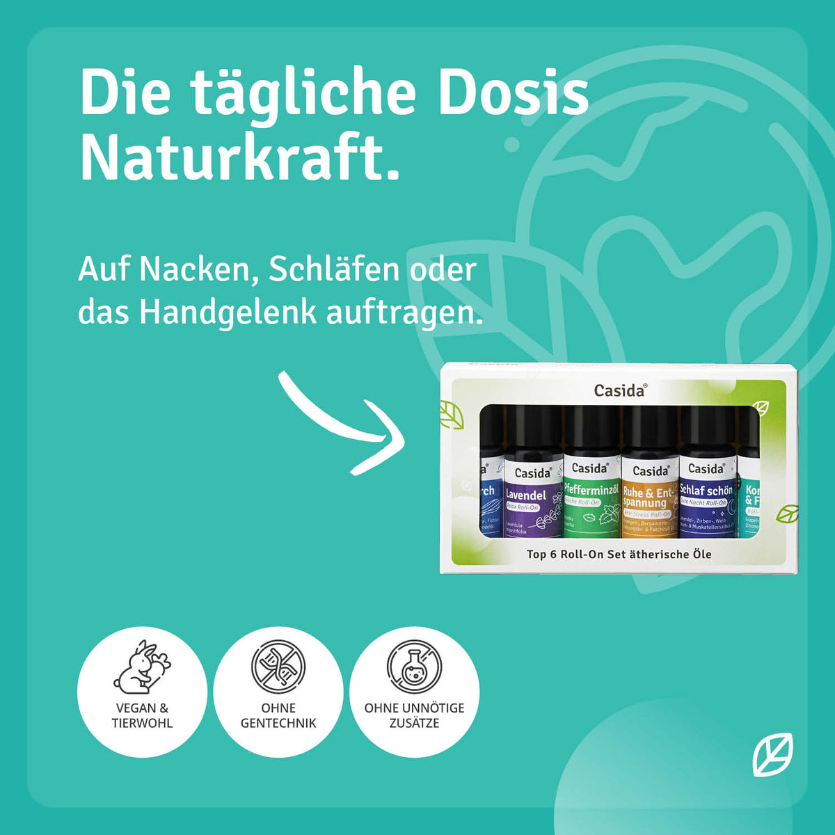 TOP 6 roll-on set with six 10 ml bottles displayed in a white box, featuring various essential oil labels.