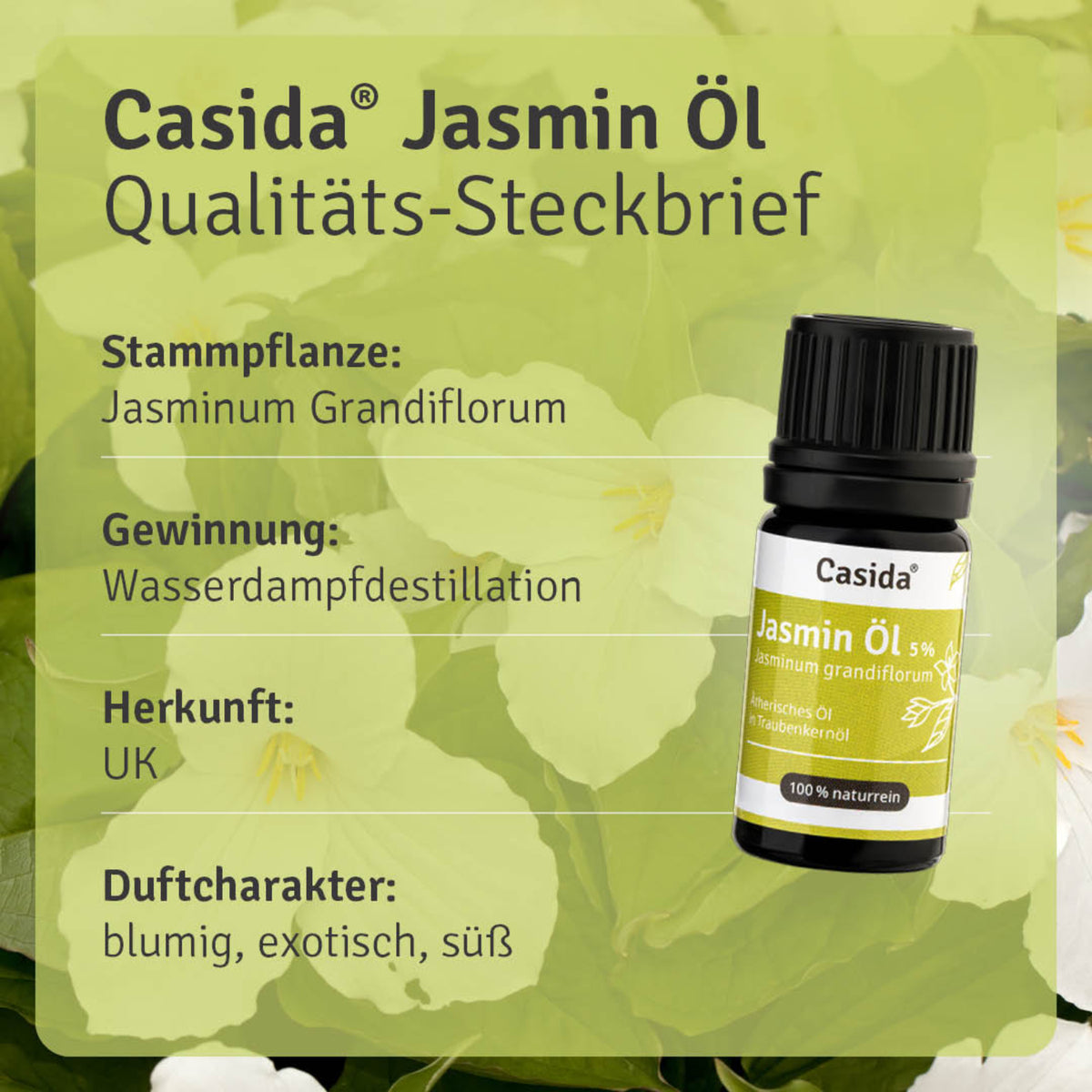 Jasmin Öl 5 % Pflanze