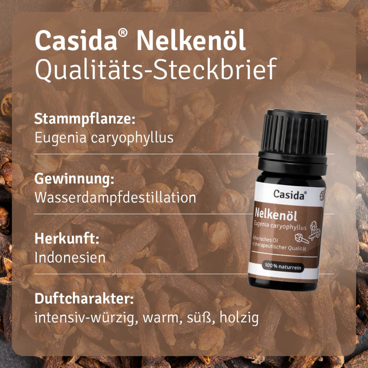 Nelkenöl Pflanze