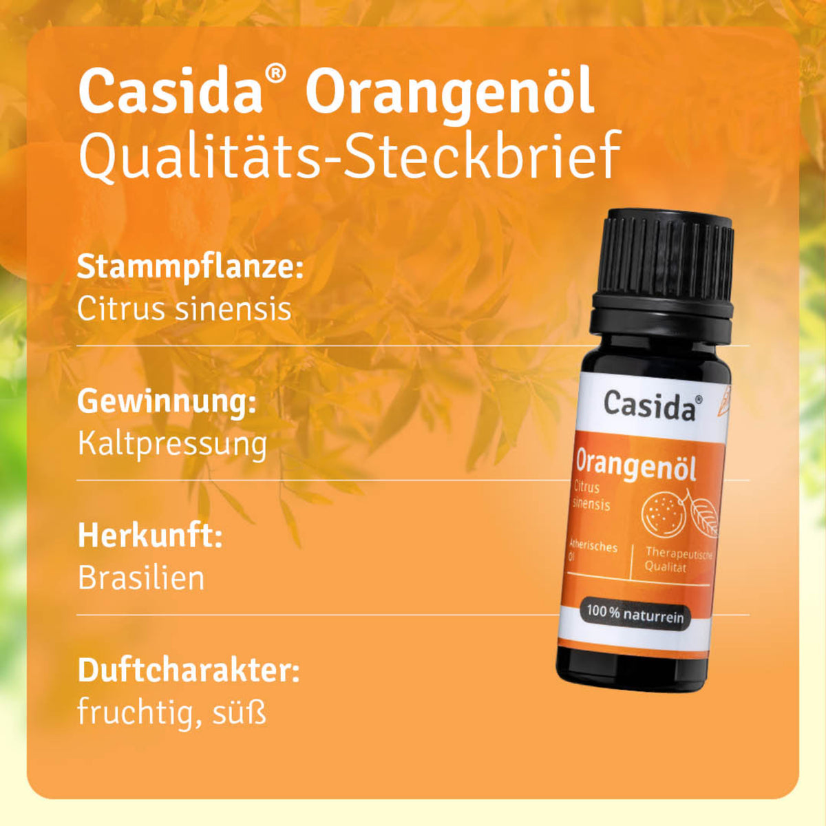 Orangenöl Pflanze