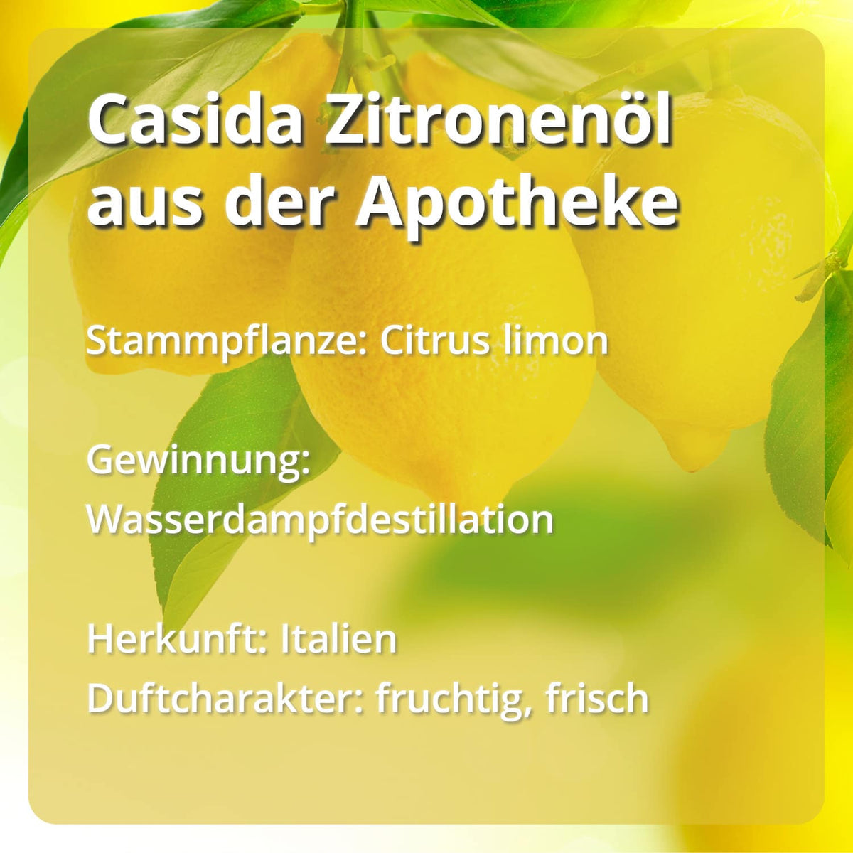 Zitrusöle Set - Ätherische Öle Set mit Zitrone, Orange & Grapefruit