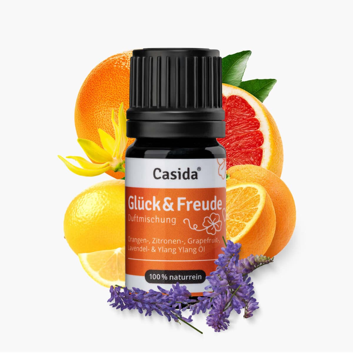 Casida Fühl dich wohl Box Beauty Pflege Aromatherapie Deocreme Hyaluron Bittersalz Lavendel10