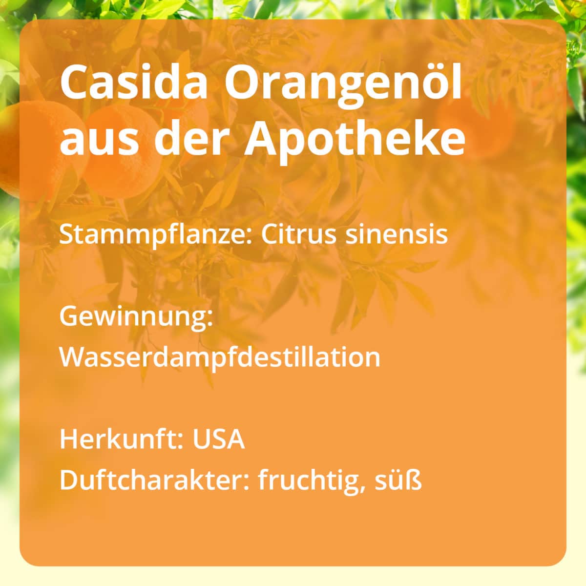 Essential Oil Set Citrus - Ätherische Öle Set mit Zitrone, Orange & Grapefruit naturrein Aroma Diffuser Körperöl Wirkung3