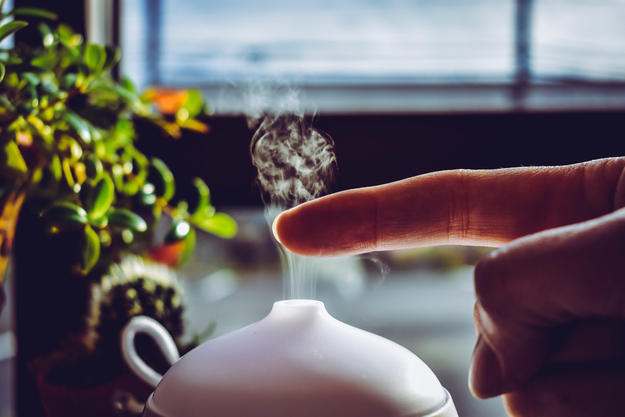 Aromatherapie nutzt die Wirkung von Düften auf Körper & Geist