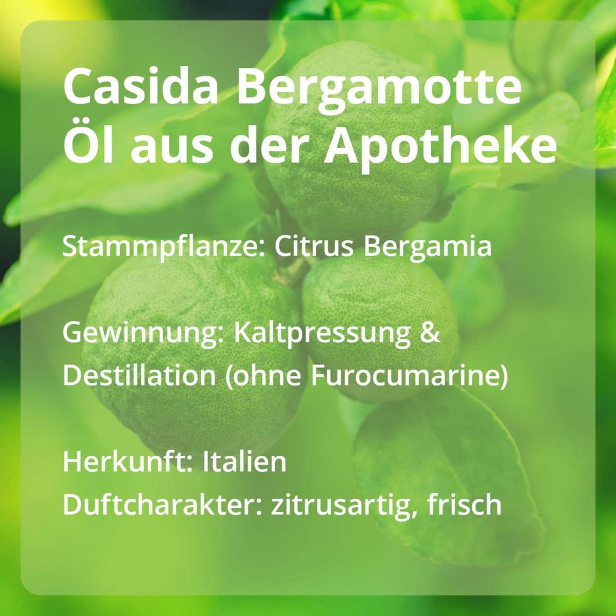 Casida Bergamot Oil PZN 16486803 Casida Ätherische Öle Stammpflanze Gewinnung Herkunft naturrein
